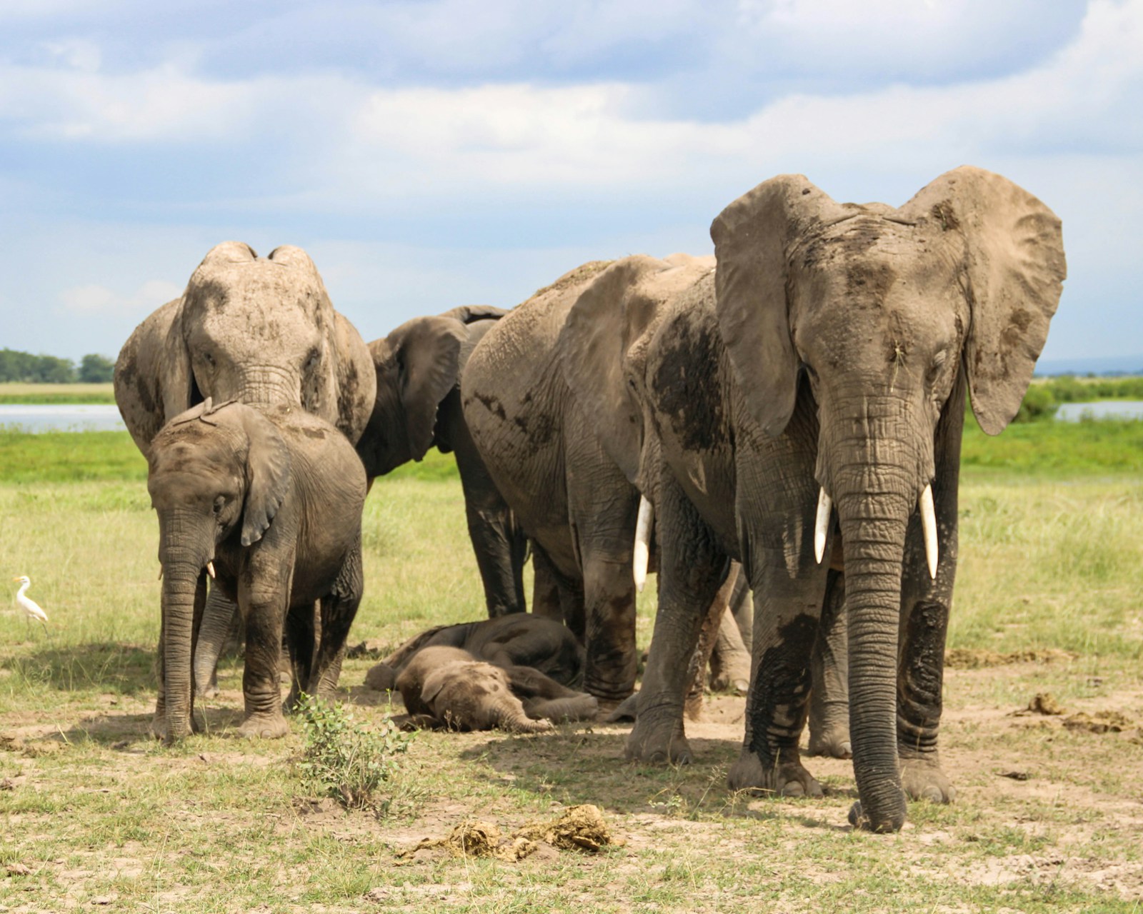 Amboseli National Park