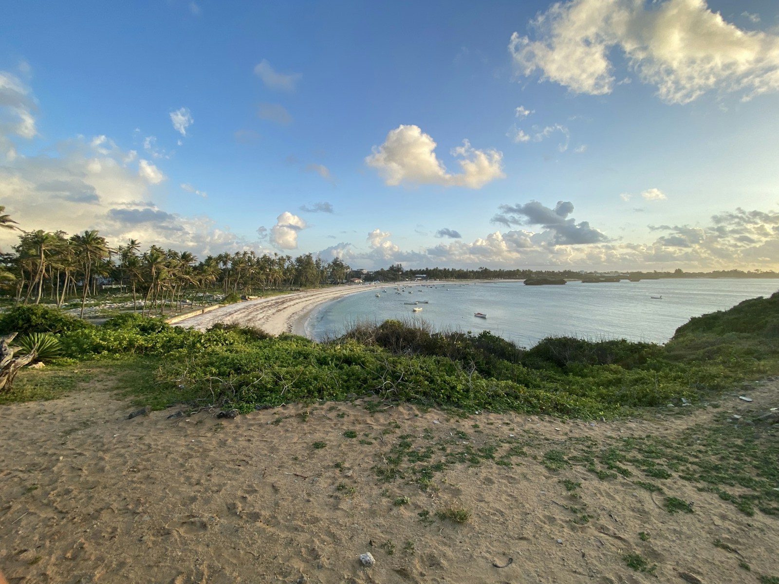 Turtle Bay Beach Club